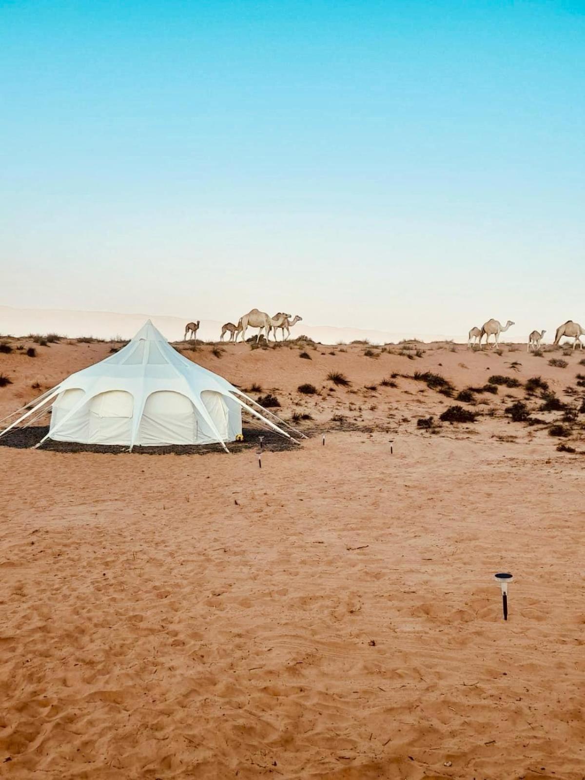 Luxury tent Infinity Camp *